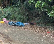 百果山命案死者被挖眼削皮 廖大乙：让他没脸见祖宗