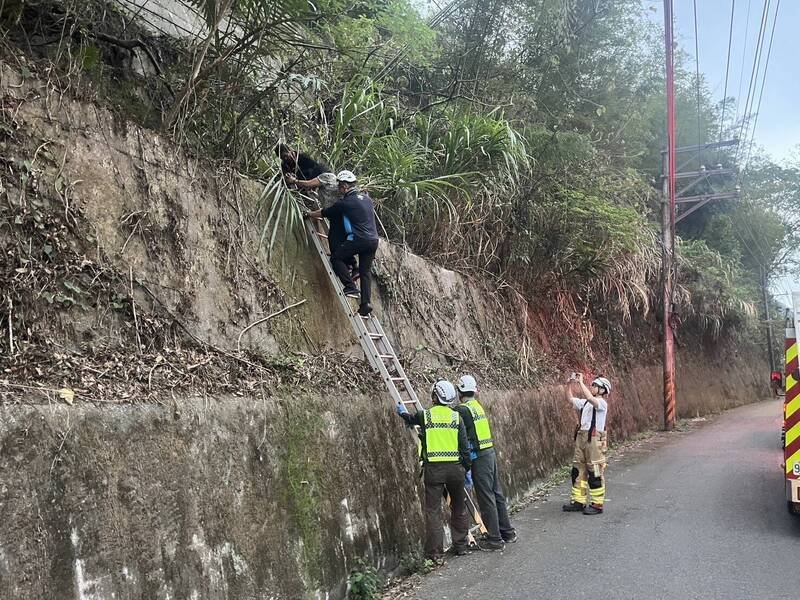汤女跌落边坡并受困距离上、下车道约4公尺高低差的平台处，消防人员架梯救下。（图由警方提供）