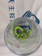 被毒蛇咬还带「凶手」就医!老翁骑车冲急诊 医急喊:这动作更危险