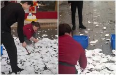 顾客带狗狗到餐厅拍照遭责难  老板竟将600套盘子全砸烂！