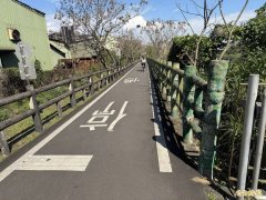 篮球弹出场外未大喊示警  害骑士重摔嗅觉受损  过失伤害起诉