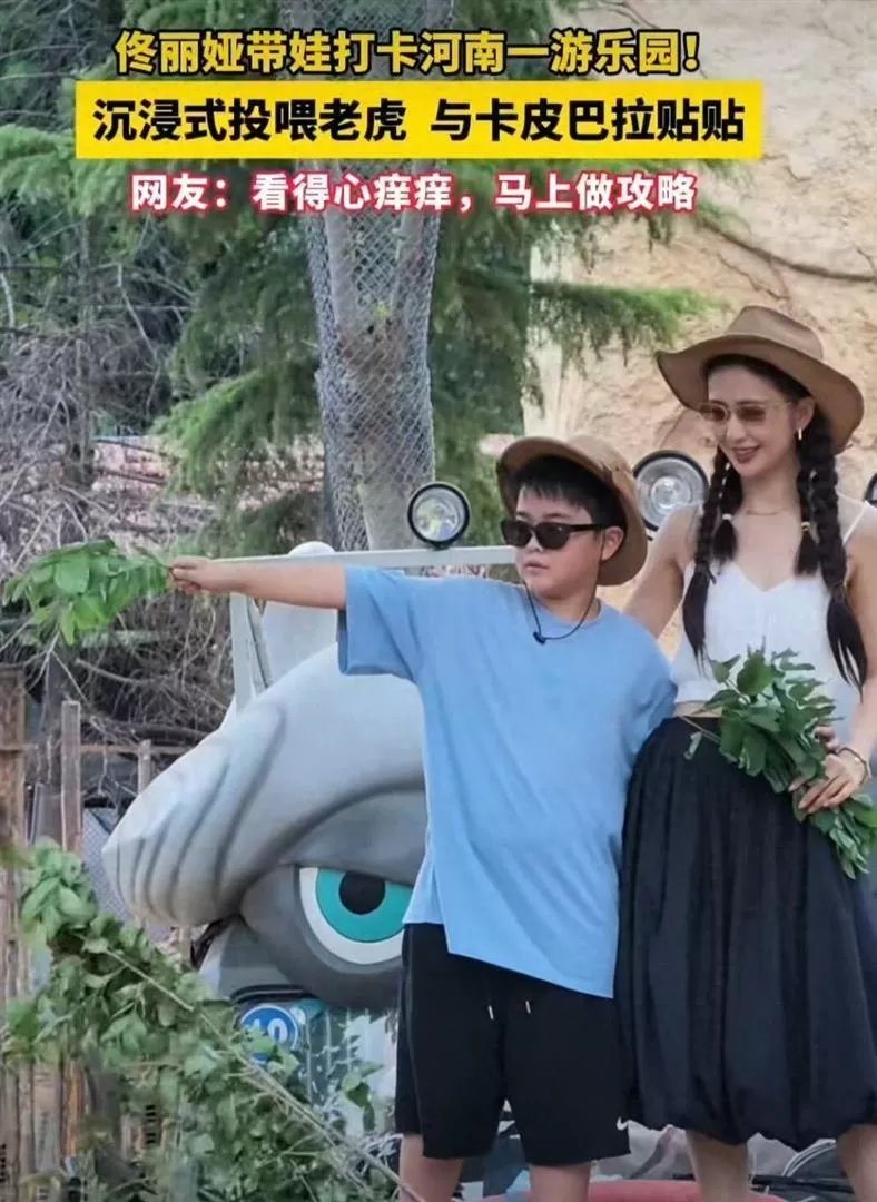 “佟丽娅这婚离了等于没离”一天冲上热搜