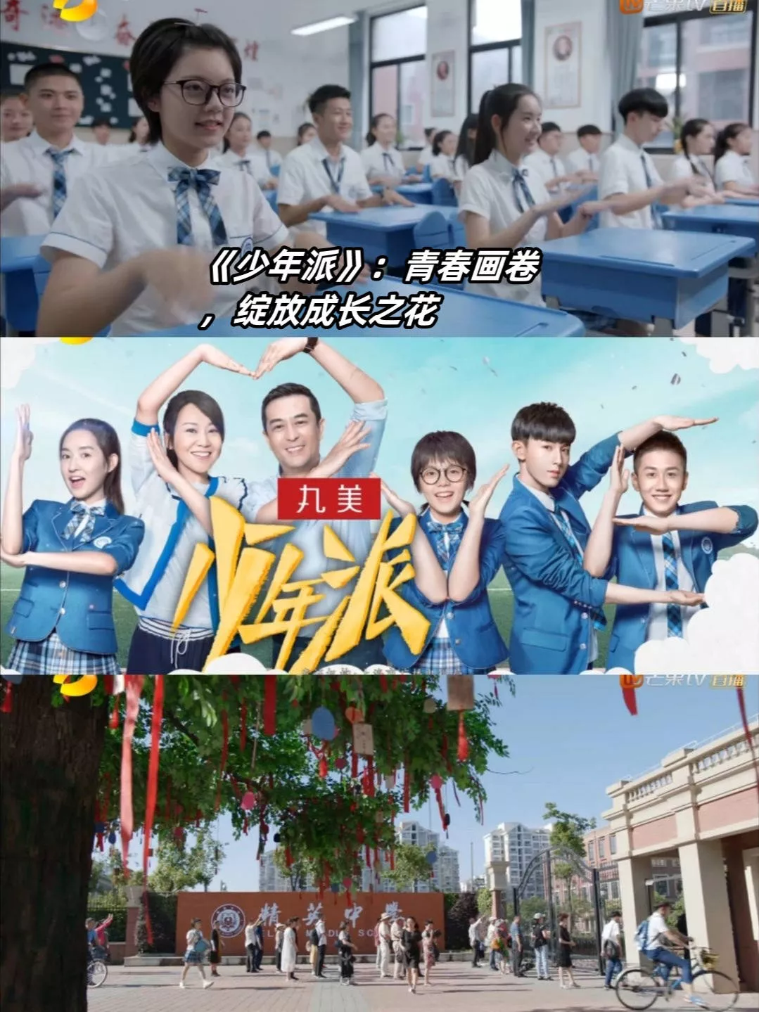 文章配图-14