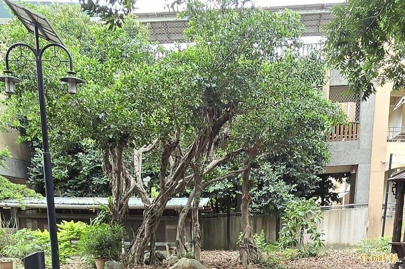 屏东慈善机构院长涉性骚扰案被遭羁押。（记者叶永骞摄）