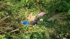太热了?86岁翁疑猝死菜园